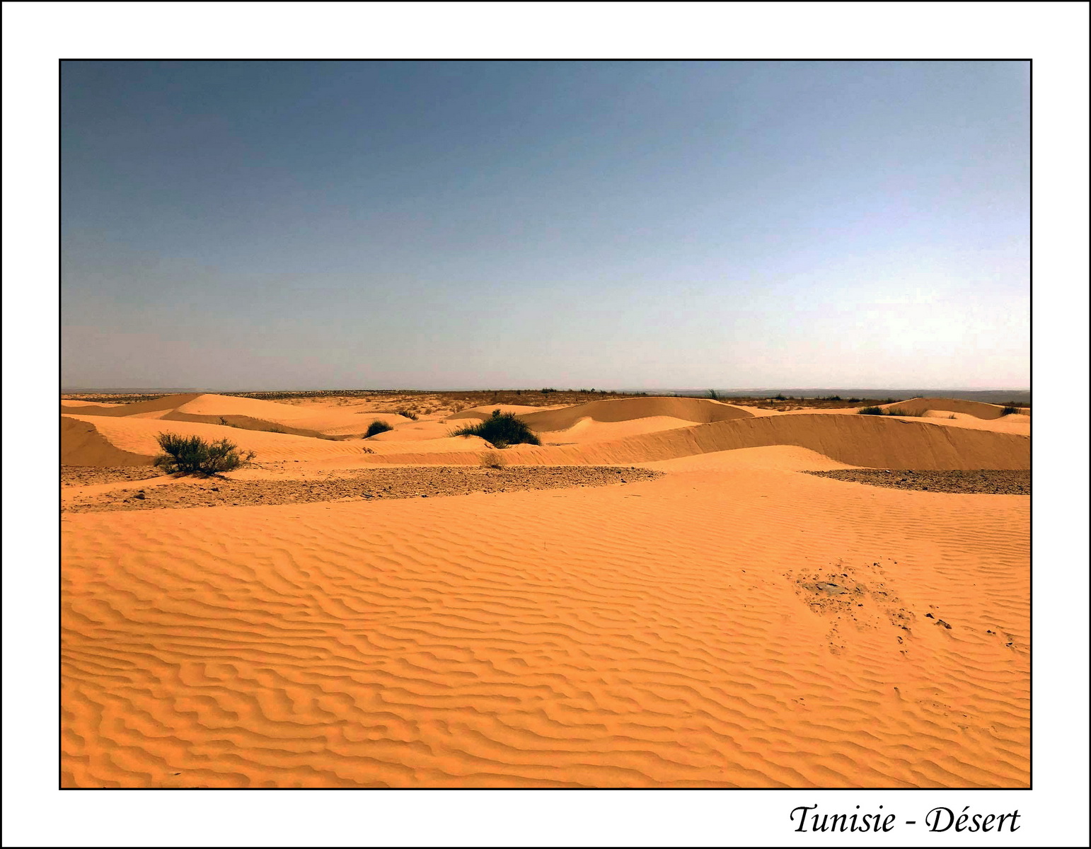 2018 - 05 - Djerba - 48